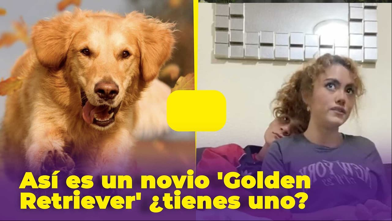 ¿Tu novio es un 'Golden Retriever'? Por esta razón todas quieren uno, esto significa