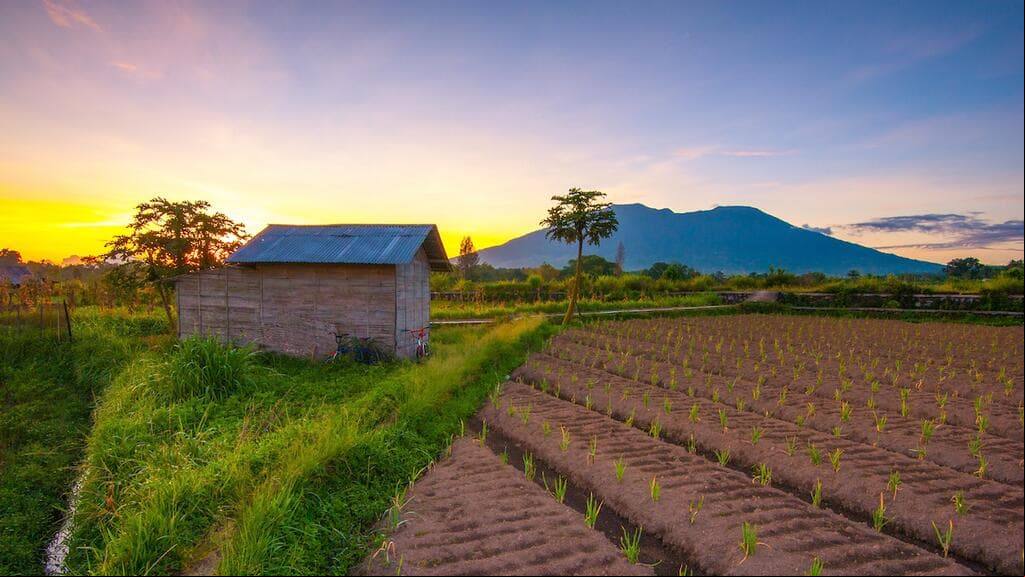 <h2 class="cms-H2-H2">Monte Merapi</h2>
