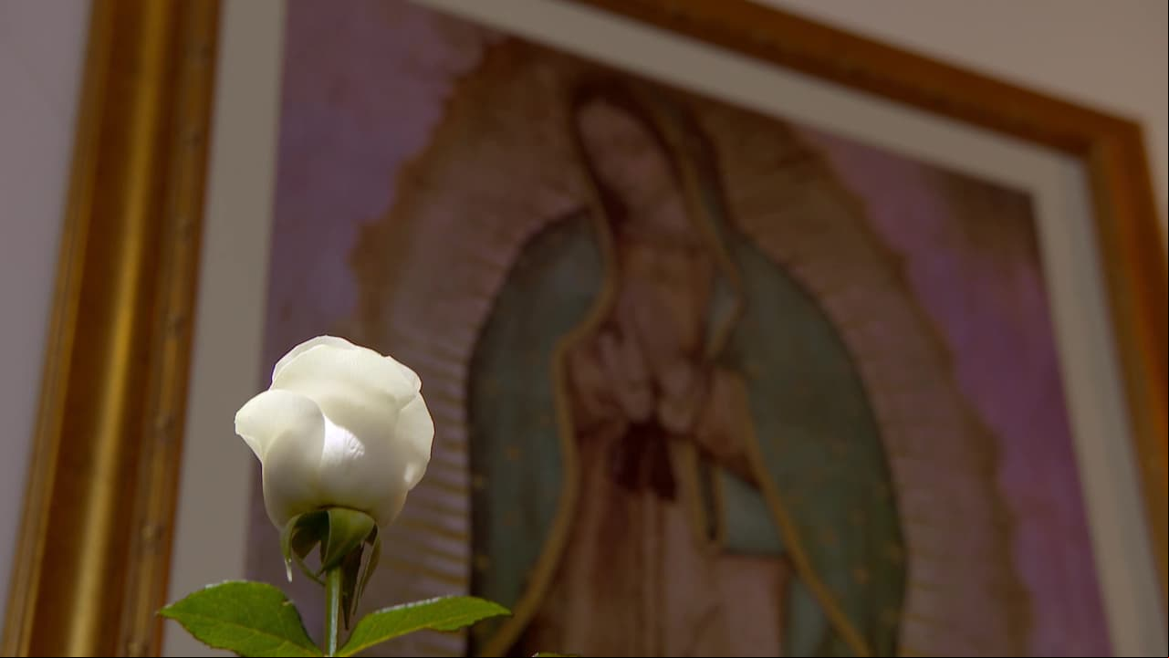 FB Live de aniversario de La Rosa de Guadalupe