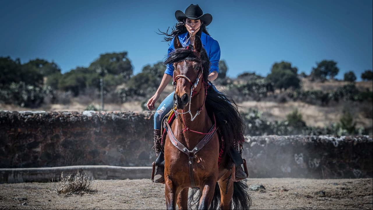 La Desalmada: Todos los pleitos, balazos y cachetadas de la telenovela