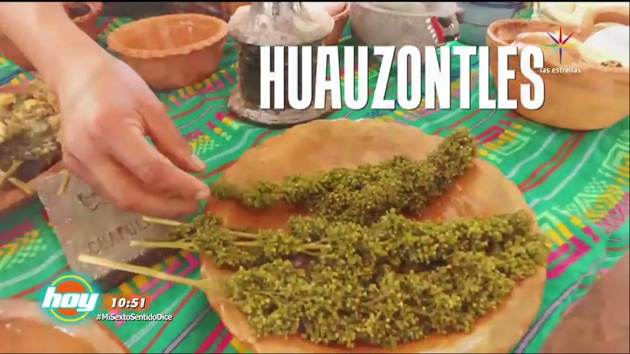 Cocina Huauzontle En Salsa Pasilla