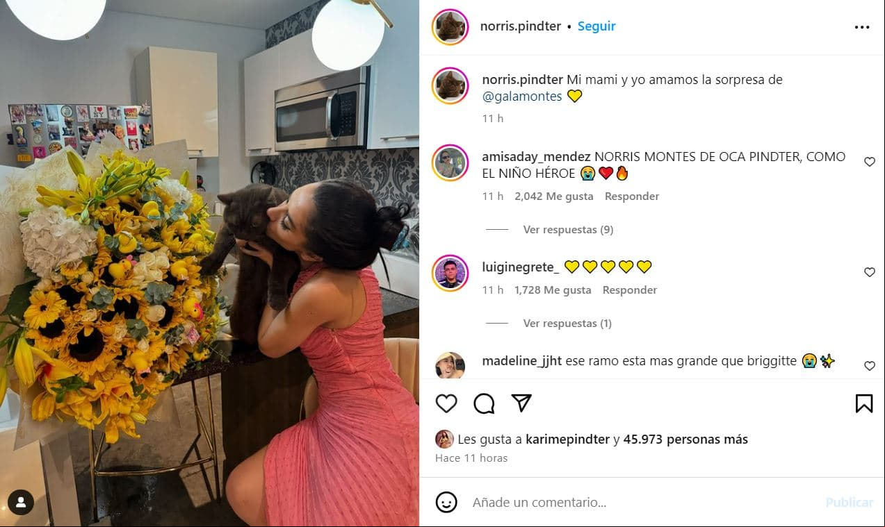 Captura Instagram Norris Pindter