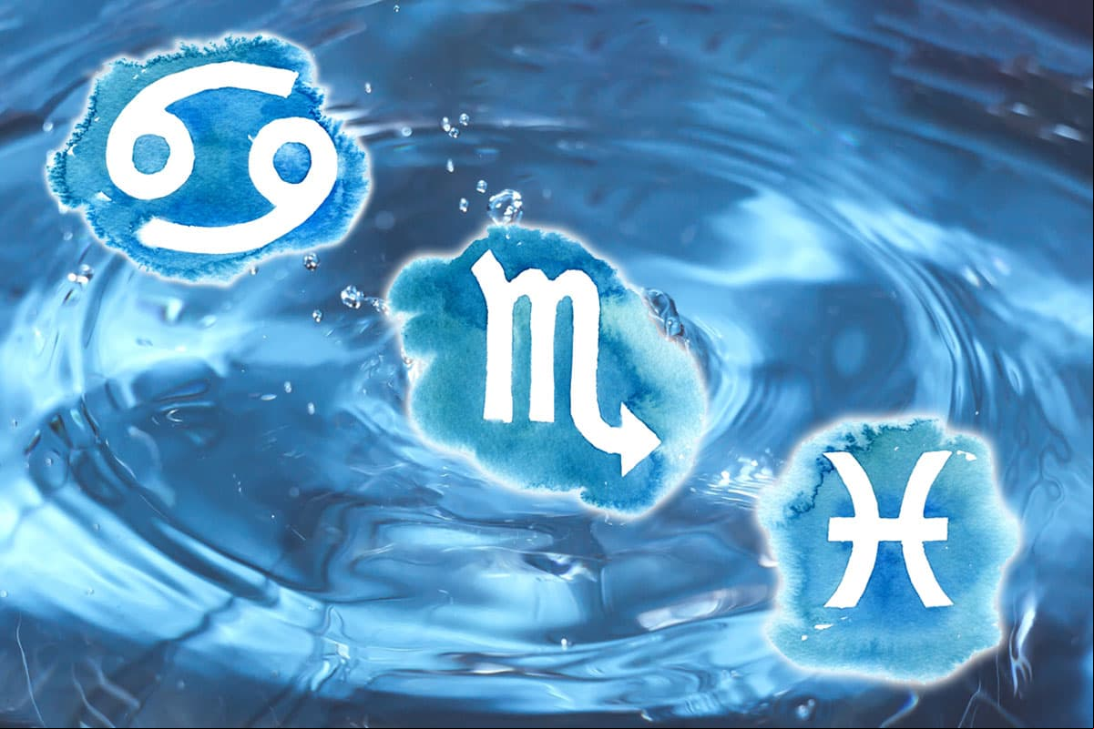 ¿Cómo les irá a los signos de agua en diciembre?