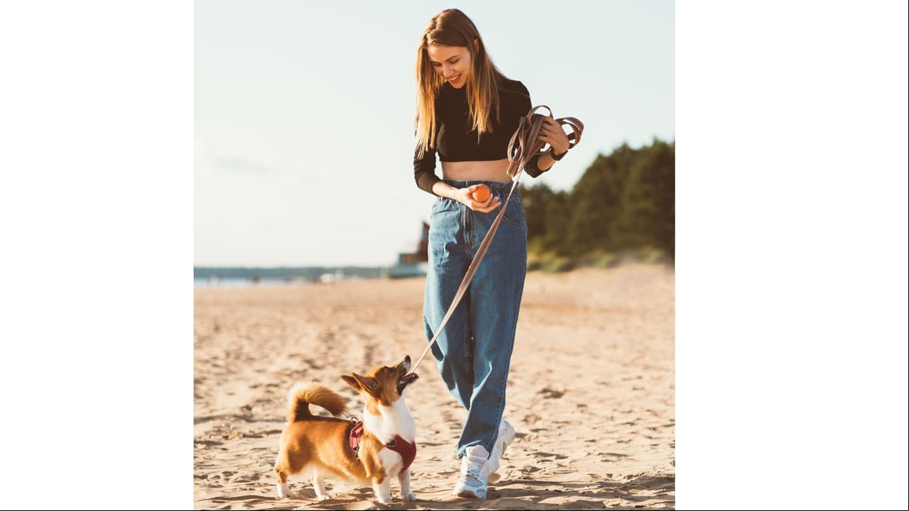 Perro camimando en la playa con su dueña