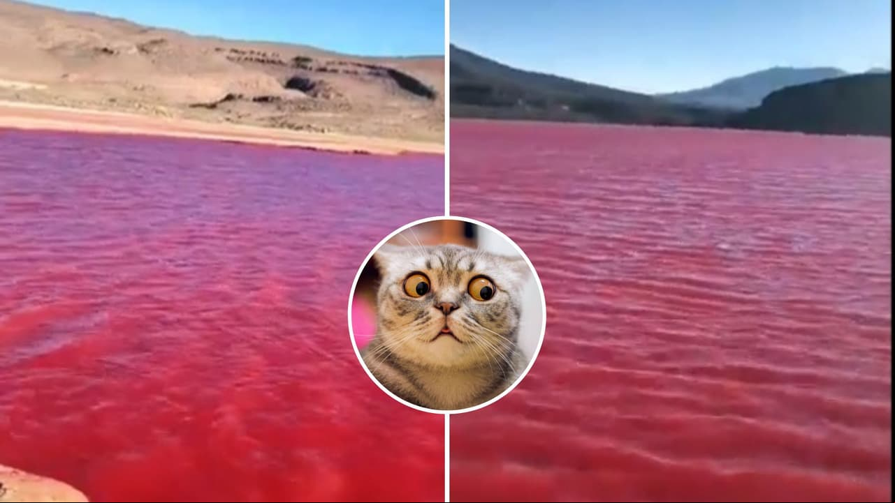 ¿Mal augurio bíblico? ¿Qué hay detrás del 'río Nilo' teñido de rojo que desató pánico?