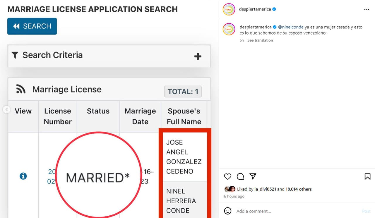 Licencia de matrimonio de Ninel Conde y José Ángel González Cedeño
