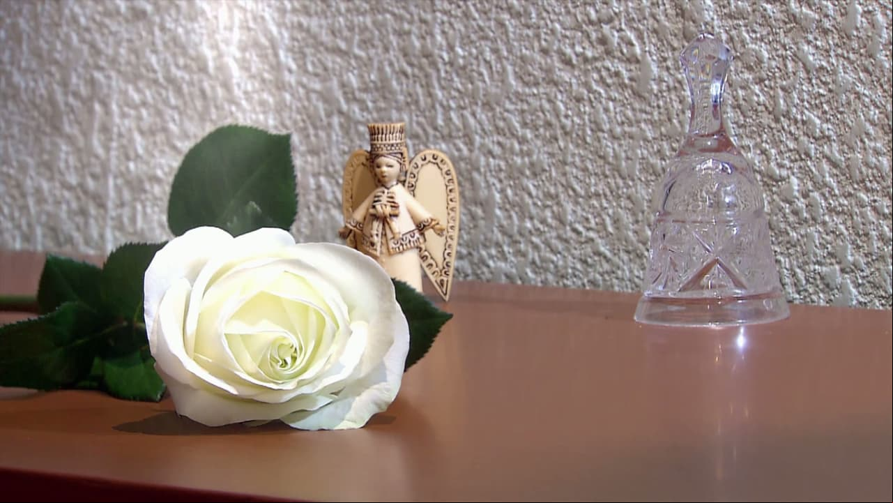MARATÓN ¡Disfruta todos los capítulos de La Rosa!