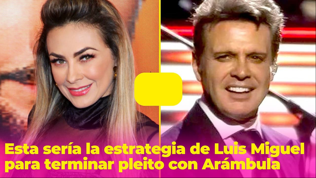 ¿Se acabó el pleito legal entre Luis Miguel y Aracely? Abogado de la actriz revela información