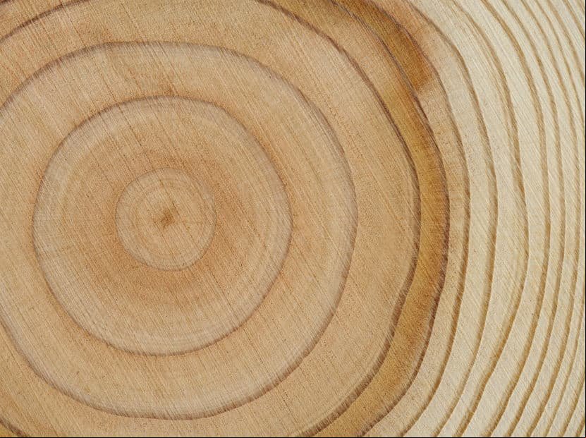 Círculo. Es la representación bidimensional de una esfera. Simboliza la unidad y la integridad total del universo. La relación de la circunferencia de un círculo respecto a su diámetro se llama Pi, el número infinito que nunca termina y nunca se repite.