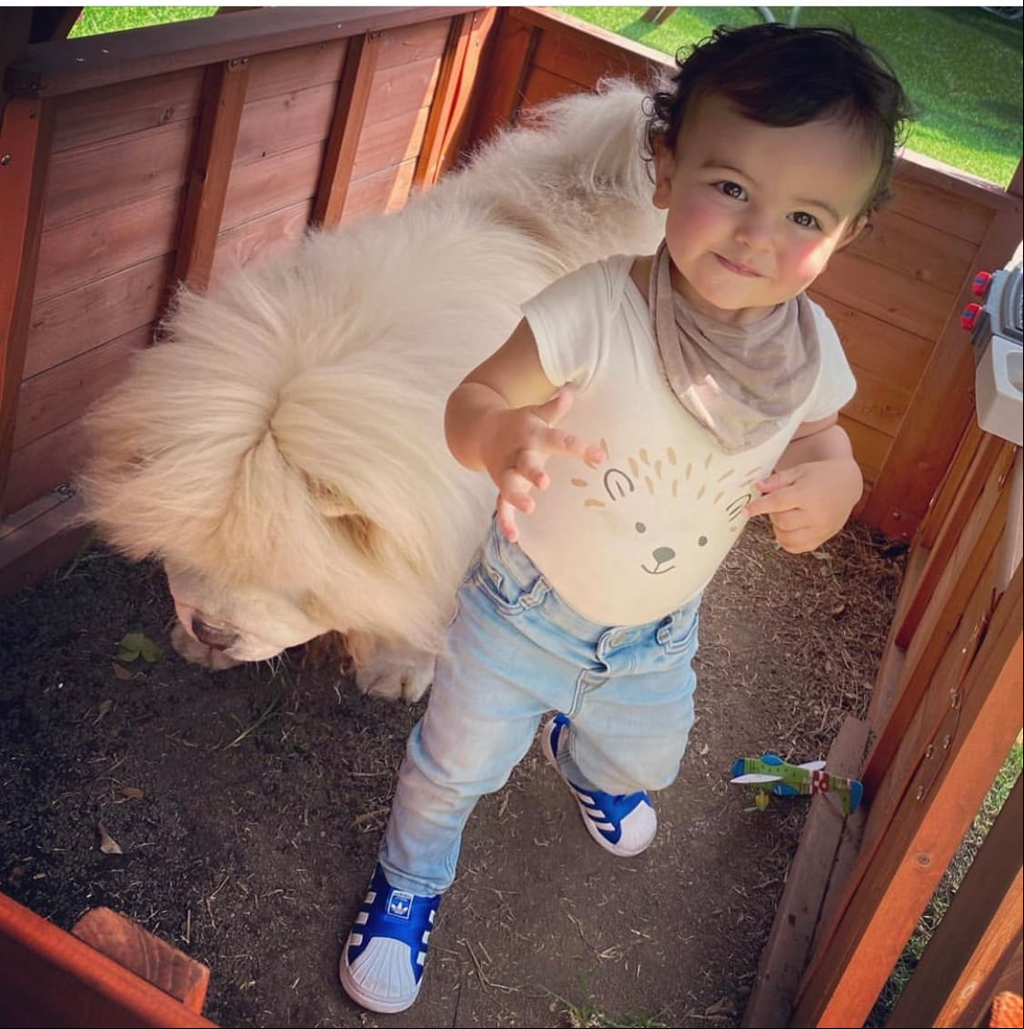 Hoy en día, con casi 18 meses, Rocco se ha convertido en la adoración tanto de sus padres como de sus hermanos mayores, quienes lo demuestran en sus respectivas redes sociales.