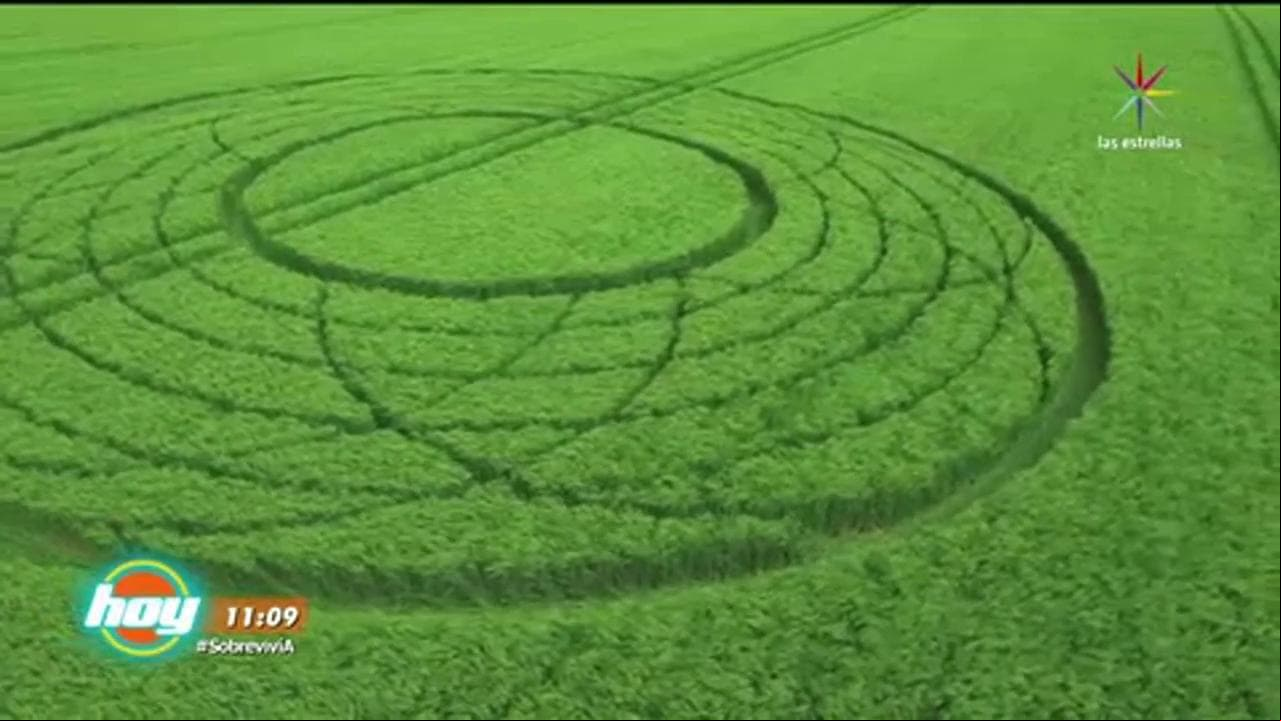 Señales divinas en cultivos en Invasión Alienígena